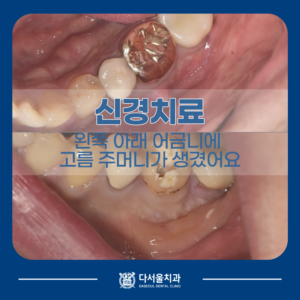 제목
