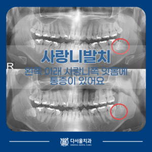 답십리치과