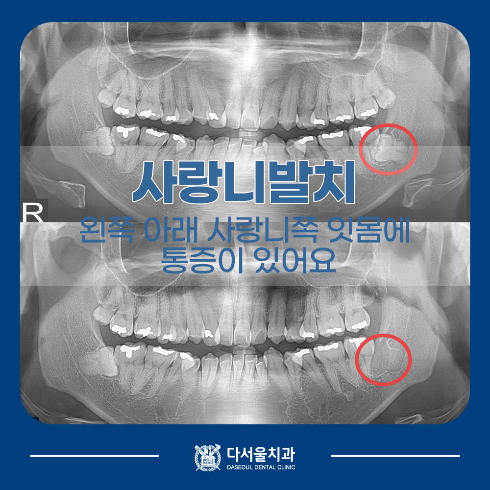 답십리치과