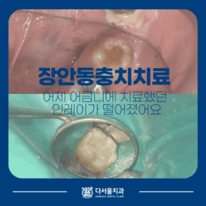 장안동치과