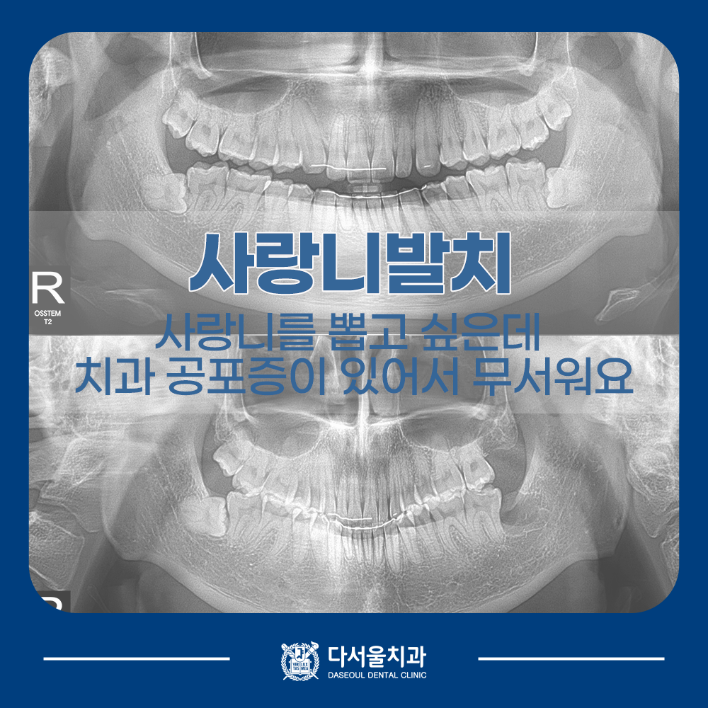 답십리치과
