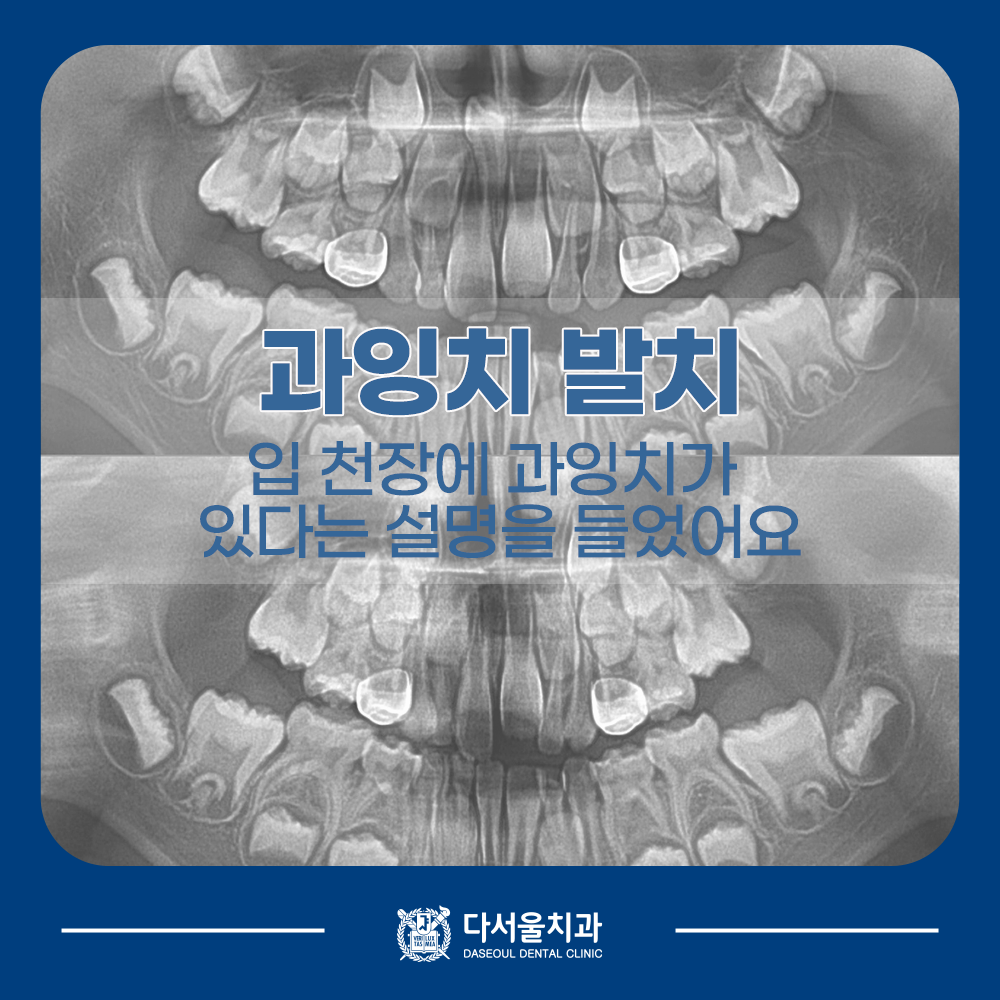 답십리치과 