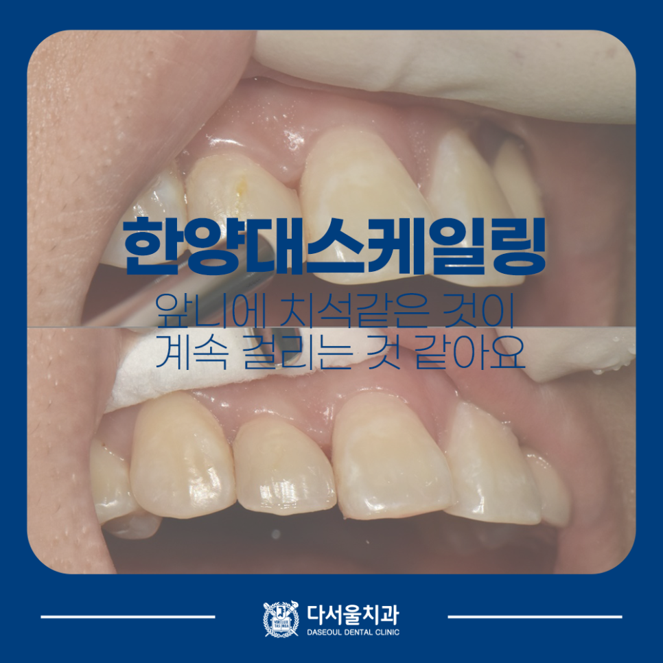 답십리치과